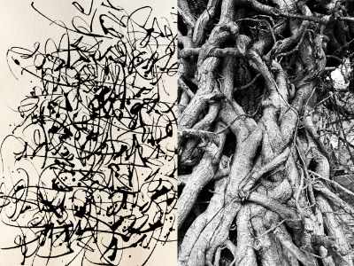 Calligraphy Monica Dengo Calligrafia