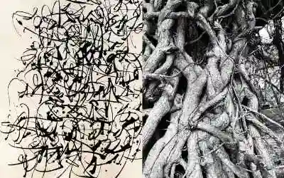 Calligraphy Monica Dengo Calligrafia