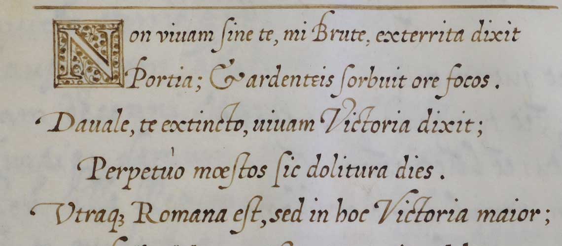 Calligraphy Monica Dengo Calligrafia